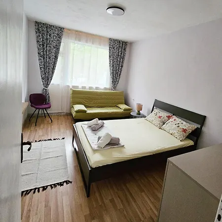 Daire лилия